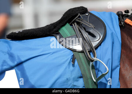 Detailansicht eines Sattels und eines Satteltuchs auf dem Rücken eines Rennpferdes Stockfoto