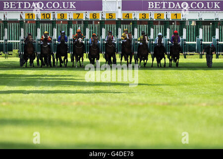 Pferderennen - Rennabend - Haydock Park Rennbahn. Läufer und Reiter verlassen die Stände im Handicap der Betting Exchange Apprentice Training Series Stockfoto