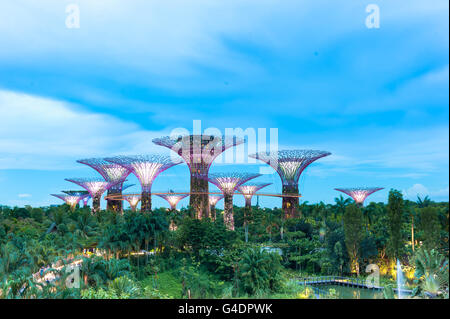 Singapur - 13. Mai 2016: Supertree Nuten über den blauen Himmel. Gärten an der Bucht ist ein Park oder den Botanischen Garten in Singapur. Stockfoto