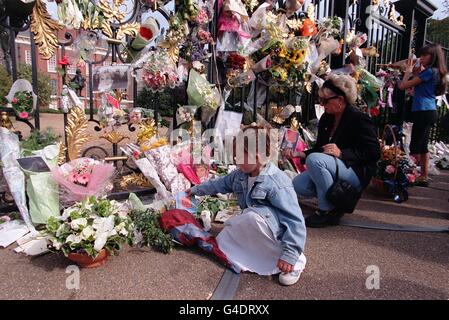 DIANA Anniversary Blumen Stockfoto