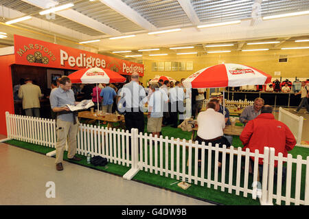 Cricket - 2011 NatWest Series - First One Day International - England / Sri Lanka - The Kia Oval. Fans genießen einen Drink an der Pedigree Bar Stockfoto