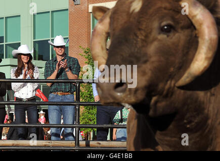 Der Herzog und die Herzogin von Cambridge kommen im BMO Centre an, um die Calgary Stampede in Calgary, Alberta, Kanada, zu beobachten. Stockfoto