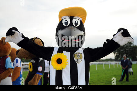 Pferderennen - Uttoxeter Nights - Uttoxeter Racecourse. Das Maskottchen von Notts County, Mr Magpie, feiert den Sieg beim Maskottchen-Rennen von Sunflower Sprint Stockfoto