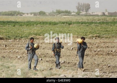 Mitglieder der afghanischen Nationalpolizei tragen Melonen, während sie von der Patrol Base Attal in Afghanistan auf Patrouille gehen. Stockfoto