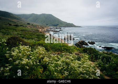 Blick auf den Pazifischen Ozean und die Berge Garrapata State Park, Kalifornien. Stockfoto