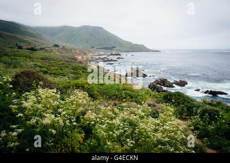 Blick auf den Pazifischen Ozean und die Berge Garrapata State Park, Kalifornien. Stockfoto