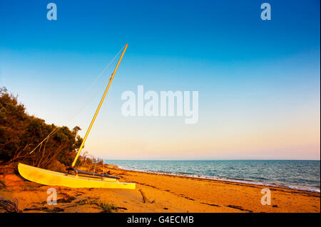 Ein gelben Katamaran zog hoch oben an der Küste. Stockfoto