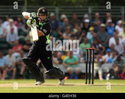 Cricket - Clydesdale Bank 40 - Gruppe B - Surrey V Warwickshire - The Sports Ground. Steven Davies von Surrey im Action-Schlagstock Stockfoto