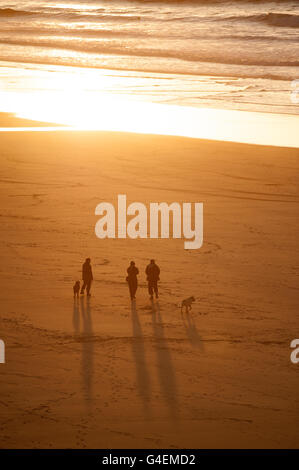 Familie gehen Hunde am Strand bei Sonnenuntergang lange Schatten werfen. Hundewiesen Stockfoto