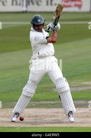 Cricket - Liverpool Victoria County Championship - Division One - Day One - Worcestershire / Somerset - New Road. Vikram Solanki von Worcestershire trifft sich während des Spiels der Liverpool Victoria County Championship in New Road, Worcester. Stockfoto