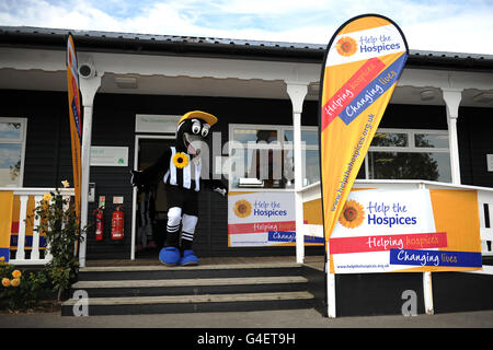 Notts County Maskottchen Herr Magpie macht seinen Weg in Richtung der Start des Sunflower Sprint Maskottchen Rennens auf der Uttoxeter Rennbahn Stockfoto