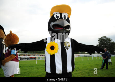 Pferderennen - Uttoxeter Nights - Uttoxeter Racecourse. Das Maskottchen von Notts County, Mr Magpie, feiert den Sieg beim Maskottchen-Rennen von Sunflower Sprint Stockfoto