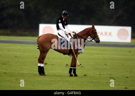 Der Duke of Cambridge spielt im Sentebale Polo Cup. Cowarth Park, Sunninghill, in der Nähe von Ascot Stockfoto