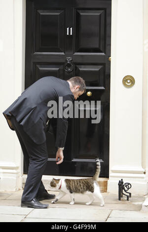 Larry the Downing Street Katze außerhalb 11 Downing Street in Westminster, Central London. Stockfoto