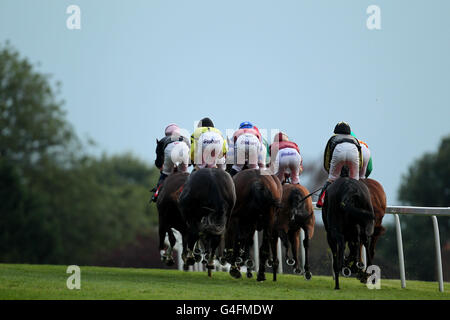 Pferderennen - Tom Jones Music Night - Sandown Park. Das Feld nimmt die erste Kurve während der Brothers Pear Cider Handicap Stakes bei der Tom Jones Music Night auf der Sandown Racecourse Stockfoto