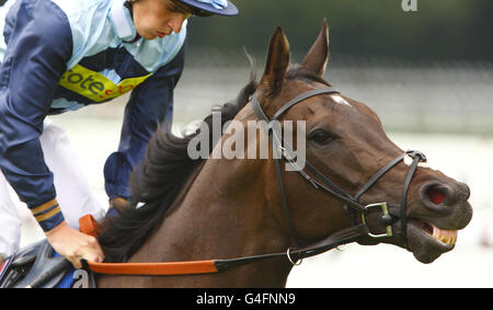 Investissement und Jockey Nicky Mackay während des glorreichen Goodwood Festivals auf der Goodwood Racecourse, Chichester. Stockfoto