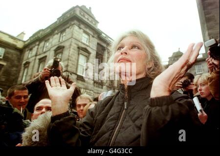 Woofie/Bardot relief Stockfoto