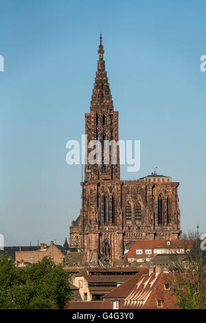 Straßburger Münster, Straßburg, Elsass, Frankreich Stockfoto