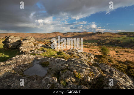 Blick vom Hayne hinunter auf Dartmoor in Richtung Hound Tor, Haytor und Rippon Tor Stockfoto