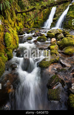 Twin-Wasserfall auf Venford Stream im Dartmoor National Park, Devon, UK Stockfoto