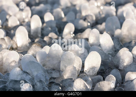 Kleine Runde Eiszapfen bildete sich um Rasen Laub auf dem Boden Stockfoto