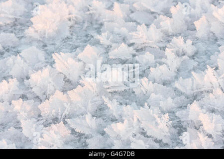 Nahaufnahme des großen Schneeflocken oder Kristalle gebildet durch extreme Kälte Stockfoto