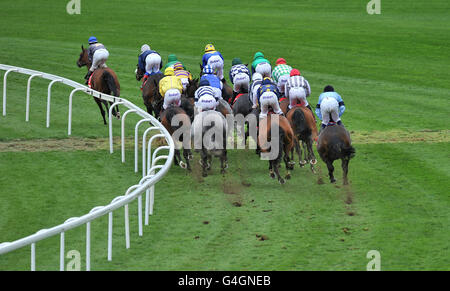 Pferderennen Sie - Betfred Sprint Cup Day - Haydock Park Rennbahn Stockfoto