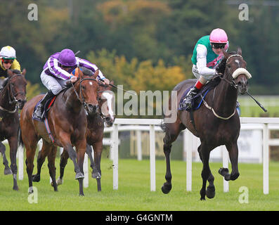 Pferderennen - Red Mills Irish Champions Stakes Day - Leopardstown Racecourse. Emulous von Pat Smullen gewinnt den Coolmore Fusaichi Pegasus Matron Stakes auf der Leopardstown Racecourse, Dublin, Irland. Stockfoto