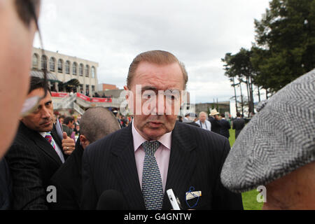 Horse Racing - Red Mills irische Champions Stakes Day - Leopardstown Racecourse Stockfoto