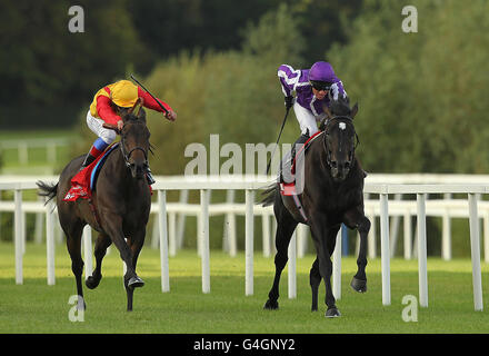 Horse Racing - Red Mills irische Champions Stakes Day - Leopardstown Racecourse Stockfoto