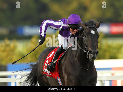 Horse Racing - Red Mills irische Champions Stakes Day - Leopardstown Racecourse Stockfoto