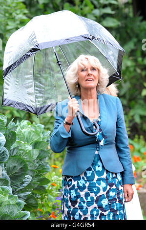 Camilla besucht Stadtgärten Stockfoto