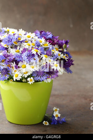 Bouquet von wilden Blumen - Margeriten und Kornblumen in einer vase Stockfoto