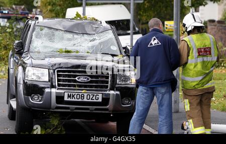 Starke Winde führen zu einem Überschlag von Bäumen und beschädigen dabei ein Auto auf dem Queens Drive, Allerton, Liverpool. Stockfoto