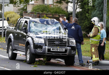 Starke Winde führen zu einem Überschlag von Bäumen und beschädigen dabei ein Auto auf dem Queens Drive, Allerton, Liverpool. Stockfoto