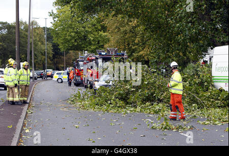 Starke Winde lassen Bäume auf dem Queens Drive, Allerton, Liverpool überwehen. Stockfoto