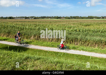 Familie Freizeit Radfahren in die Felder im Urlaub auf der Insel Schiermonnikoog, Niederlande Stockfoto
