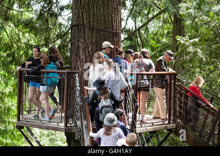 Holzstege ausgesetzt der Luft bei der Capilano Suspension Bridge Park in North Vancouver Stockfoto