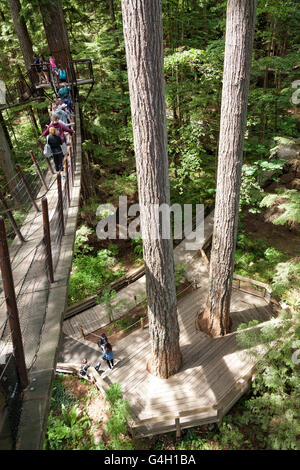 Holzstege ausgesetzt der Luft bei der Capilano Suspension Bridge Park in North Vancouver Stockfoto