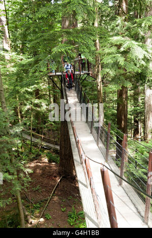 Holzstege ausgesetzt der Luft bei der Capilano Suspension Bridge Park in North Vancouver Stockfoto