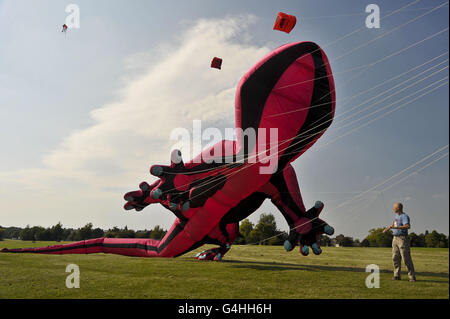 Ein 96 Fuß langer, aufblasbarer Drachen in der Form eines geko kämpft sich in der leichten Brise auf den Durdham Downs in Bristol vom Boden zu heben, während die Stadt sich auf das International Kite Festival vorbereitet. Stockfoto