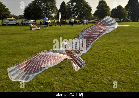 Ein handgefertigter Drachen aus Seide und Bambus in Vogelform fliegt in der Brise auf Durdham Downs in Bristol, während die Stadt sich auf das International Kite Festival vorbereitet. Stockfoto