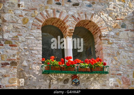 Fenster und rote Blumen, Sirmione Altstadt, Gardasee, Lombardei, Italien Stockfoto