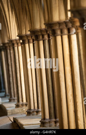 Tragende Säulen und Pfeiler Kathedrale von Salisbury Stockfoto