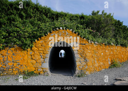 Ansicht der Newport Cliff Walk öffentlicher Gehweg in der Nähe von Newport, Rhode Island. Stockfoto