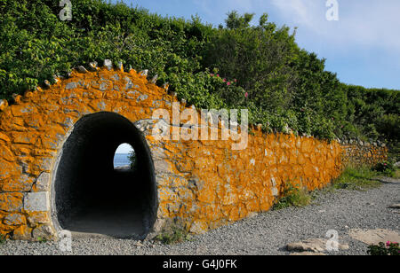 Ansicht der Newport Cliff Walk öffentlicher Gehweg in der Nähe von Newport, Rhode Island. Stockfoto