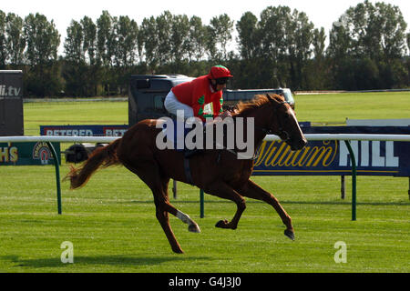 Horse Racing - William Hill Ayr Goldschale Festival - Tag eins - Ayr Racecourse Stockfoto