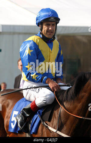 Pferderennen - William Hill Ayr Gold Cup Festival - Erster Tag - Ayr Racecourse. Jockey Darryll Holland auf Storming Bernard vor den britischen Hengstgestüten zur Unterstützung von British Racing E.B.F. Einsätzen Für Anfänger Stockfoto