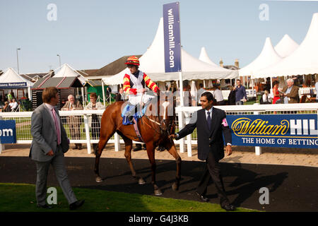 Horse Racing - William Hill Ayr Goldschale Festival - Tag eins - Ayr Racecourse Stockfoto