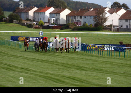 Horse Racing - William Hill Ayr Goldschale Festival - Tag eins - Ayr Racecourse Stockfoto